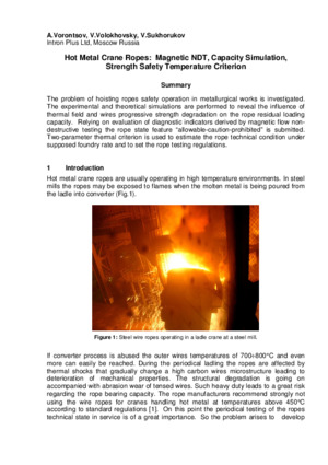 Hot Metal Crane Ropes: Magnetic NDT, Capacity Simulation, Strength Safety Temperature Criterion. — A. Vorontsov, V. Volokhovsky, V. Sukhorukov. Proceedings of the OIPEEC Conference, Oxford, 10-12 March 2013, &lt;br&gt;pp.33-42.
